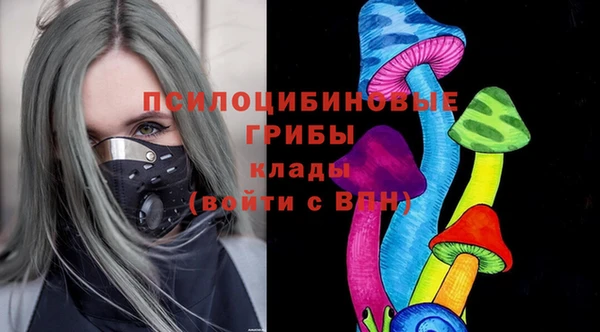 скорость Белокуриха